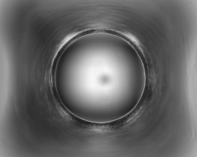 X0000087520887200704271138