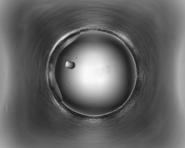 X0000087520888200704271138