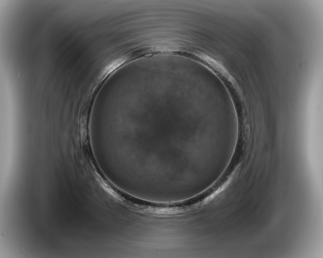 X0000087520889200704271138