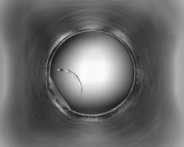 X0000087520890200704271138