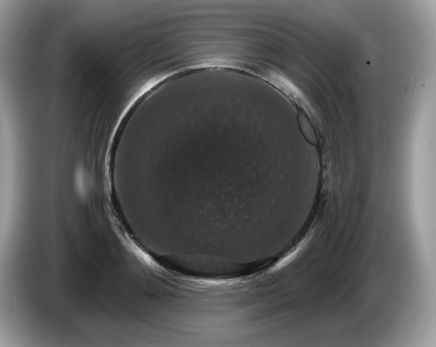 X0000087520892200704271138