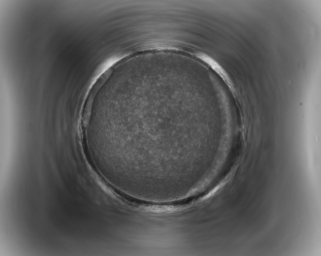 X0000087520893200704271138
