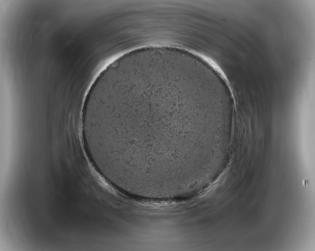 X0000087520895200704271138
