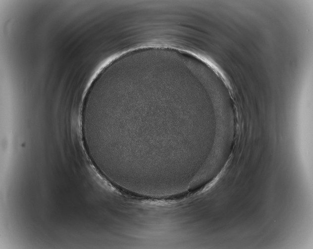 X0000087520896200704271138