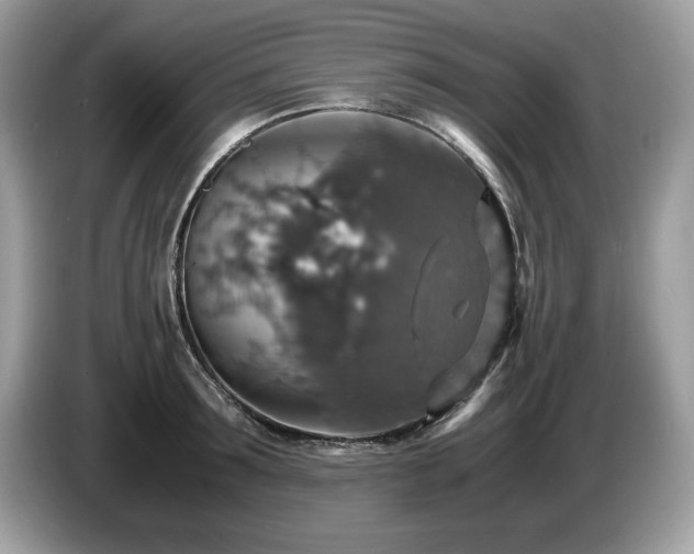 X0000087520899200704271138