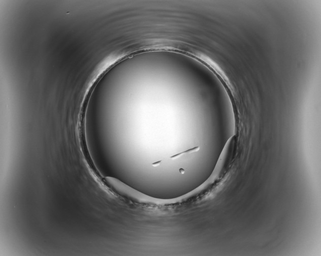 X0000087520901200704271138