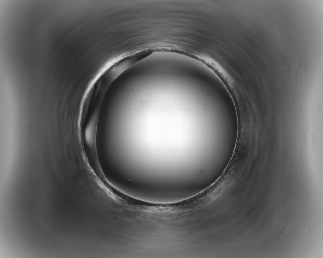 X0000087520902200704271138