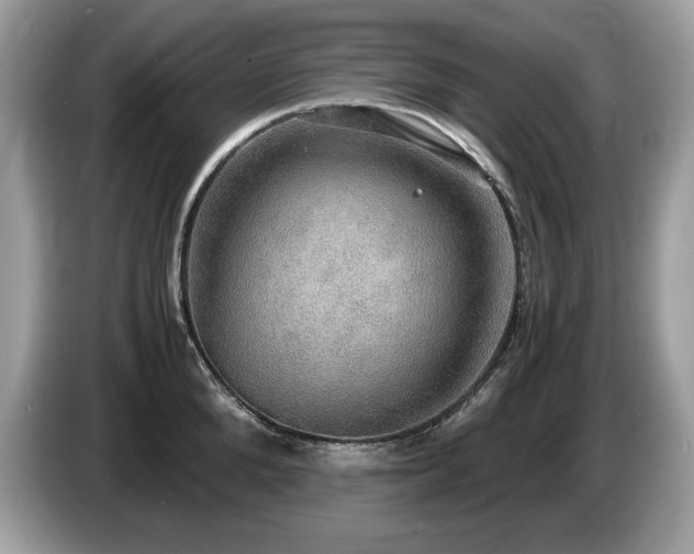 X0000087520904200704271138