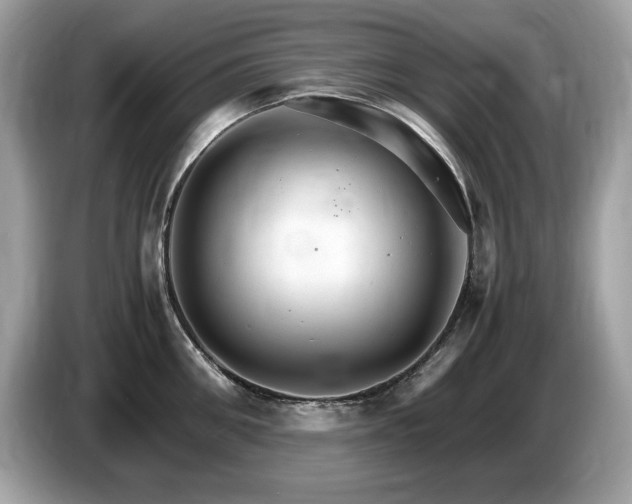 X0000087520906200704271138