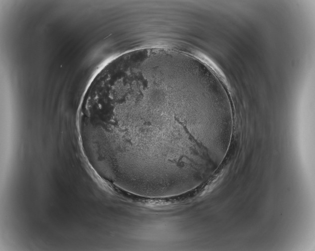 X0000087520907200704271138
