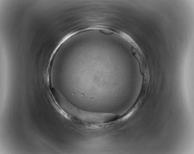 X0000087520908200704271138