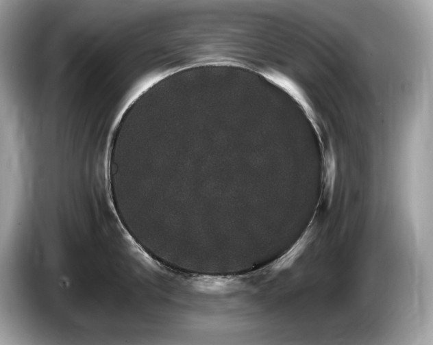 X0000087520910200704271138