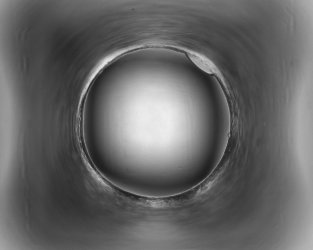 X0000087520911200704271138