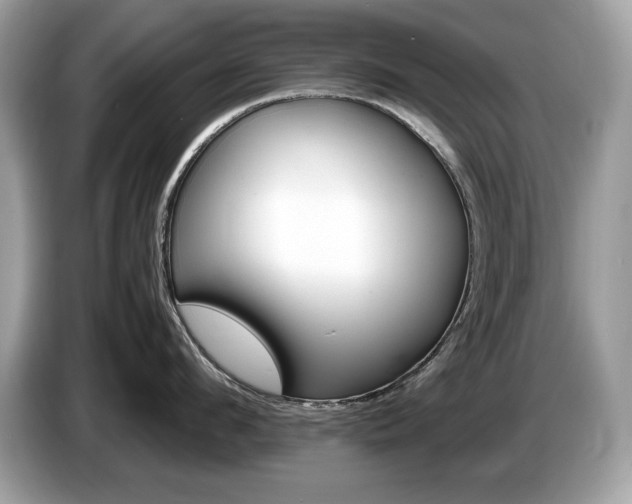 X0000087520912200704271138
