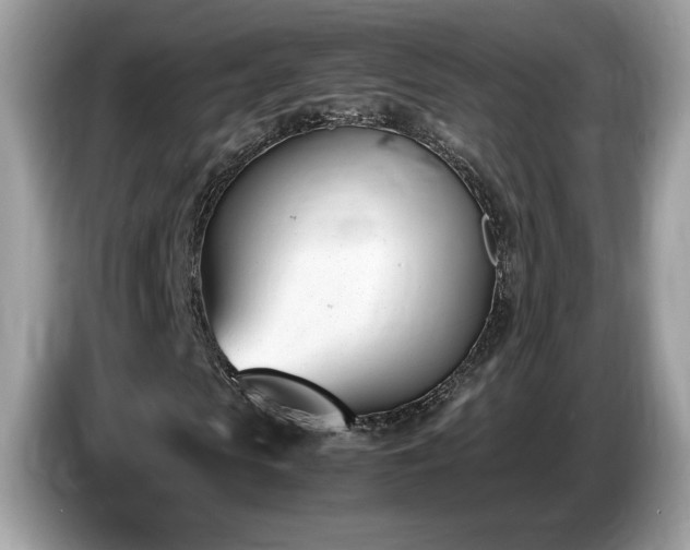 X0000087520913200704271137