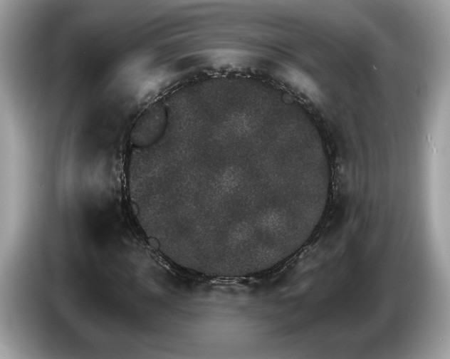X0000087520918200704271137