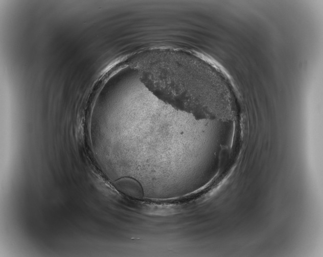 X0000087520921200704271138