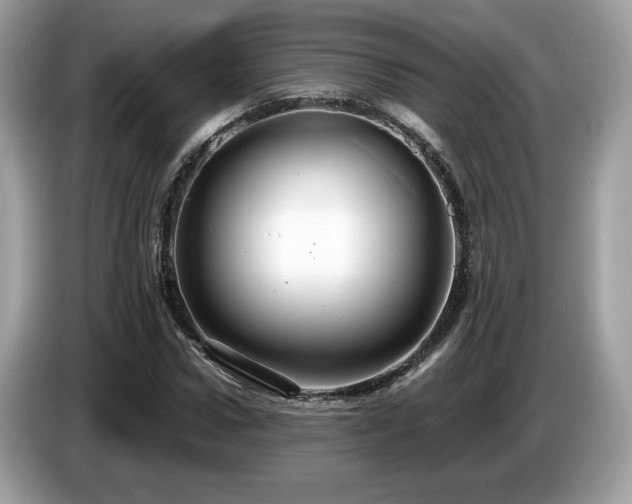 X0000087520922200704271138