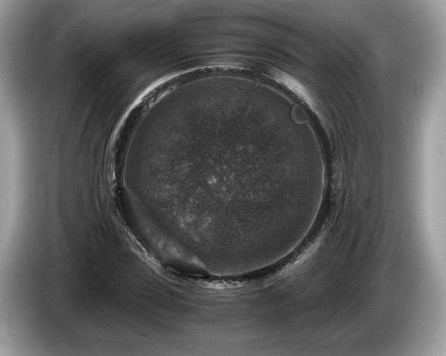 X0000087520923200704271138