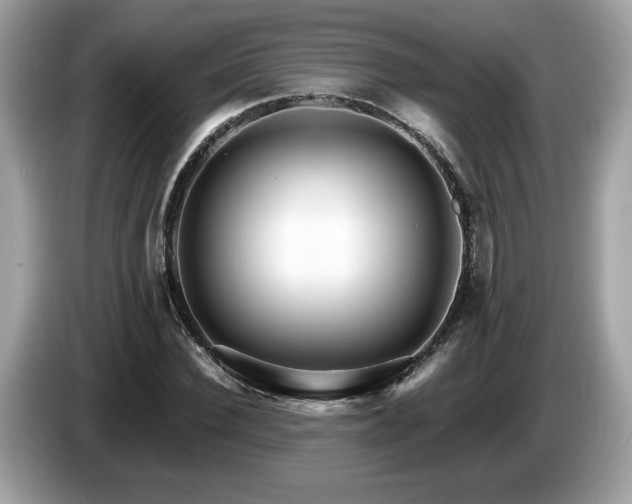 X0000087520924200704271138
