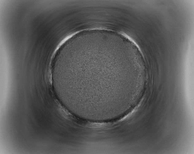 X0000087520925200704271138