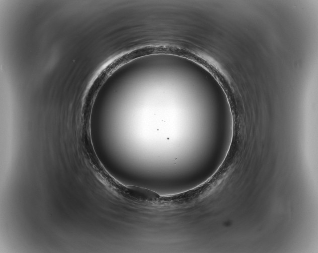 X0000087520927200704271138