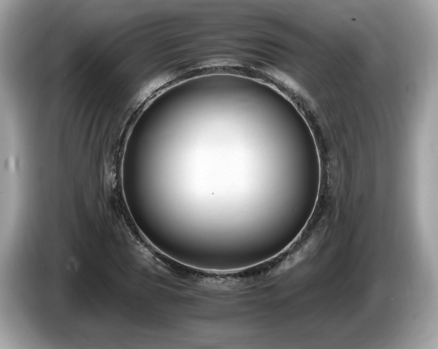 X0000087520929200704271138