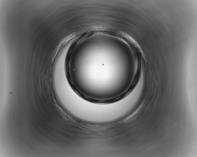 X0000087520930200704271138