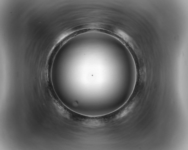 X0000087520931200704271138