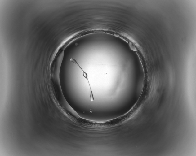 X0000087520933200704271138