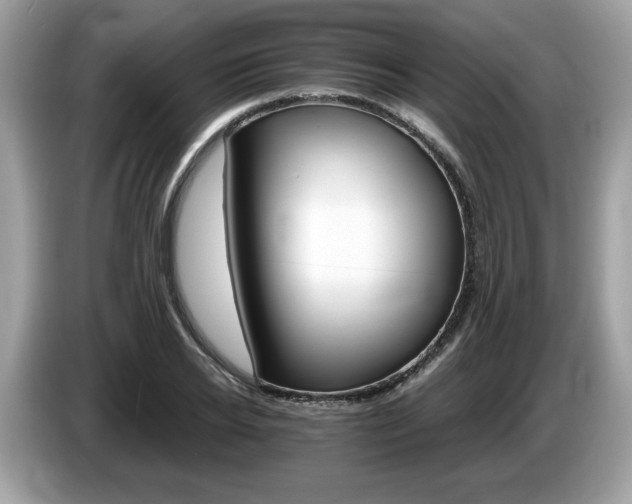 X0000087520934200704271138