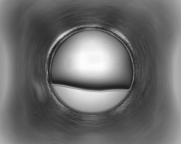X0000087520935200704271138