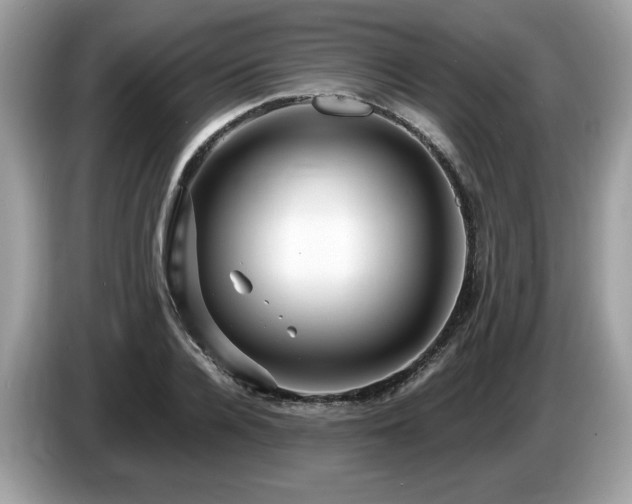 X0000087520936200704271138