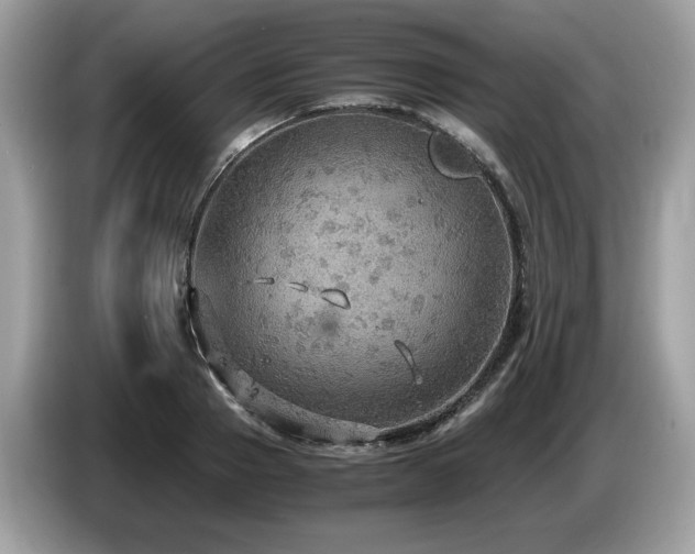 X0000087520937200704271138