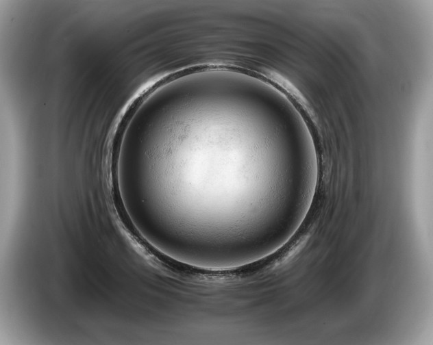 X0000087520939200704271138