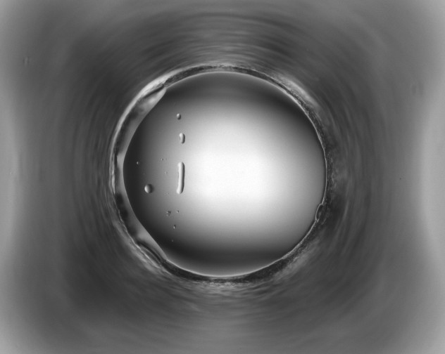 X0000087520940200704271138