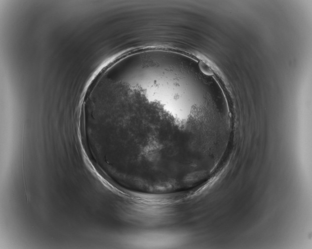 X0000087520941200704271138
