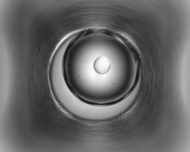 X0000087520942200704271138