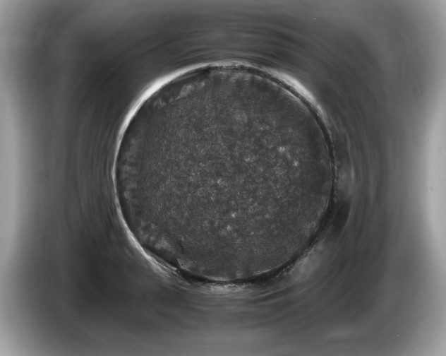 X0000087520943200704271138