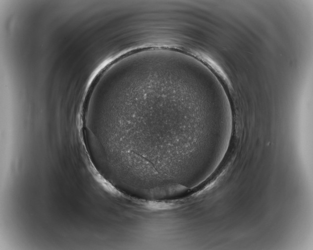 X0000087520944200704271138