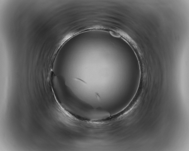X0000087520945200704271138