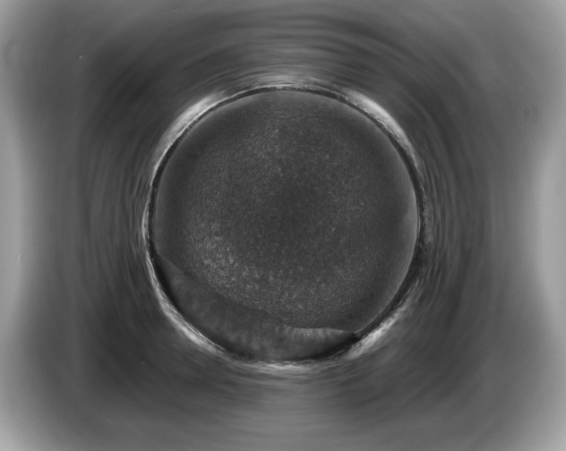 X0000087520946200704271138