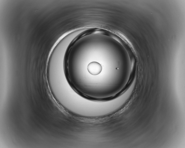 X0000087520948200704271138