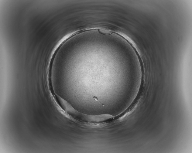 X0000087520949200704271138