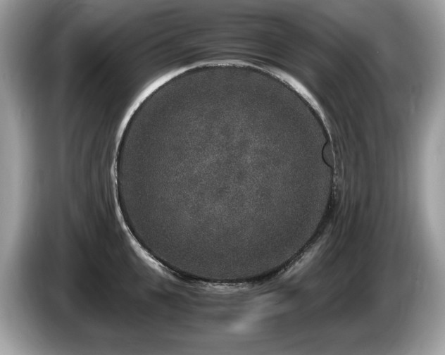 X0000087520951200704271138