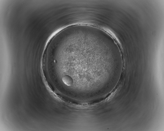 X0000087520952200704271138