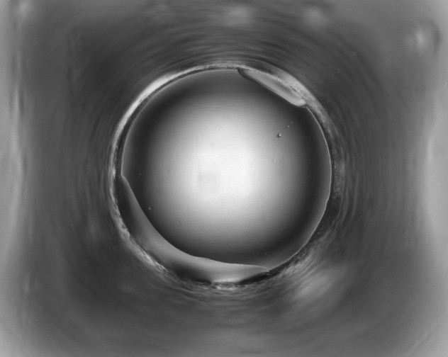 X0000087520955200704271138