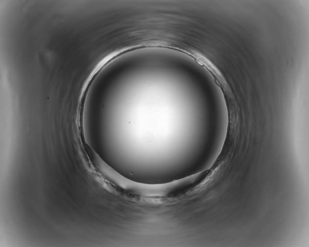 X0000087520956200704271138