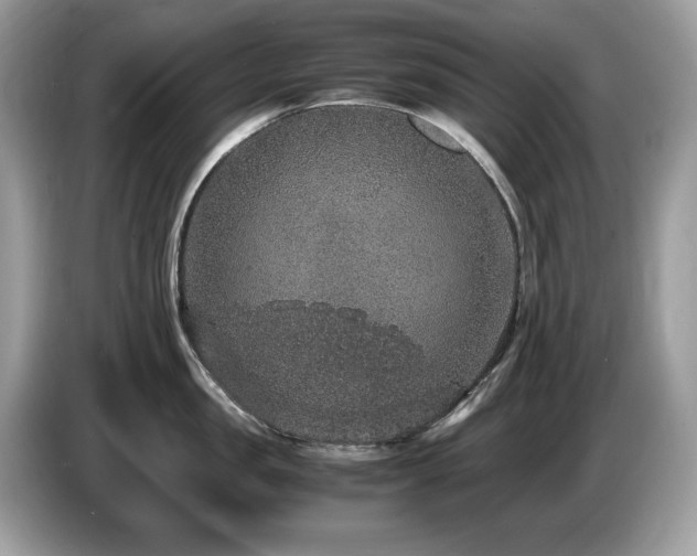 X0000087520957200704271138