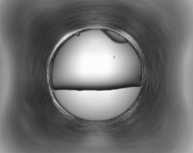 X0000087520958200704271138